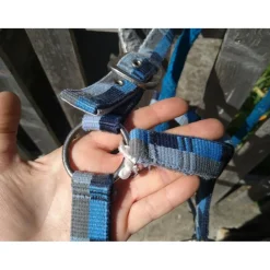 Licol + Longe*- Marque inconnue - Sale