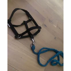 Fouganza Licols Et Longes>licol + longe
