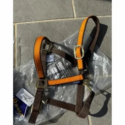 - Marque inconnue - Licols Et Longes>Licol + longe Daslo