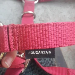 Fouganza Licols Et Longes><noscript><img width=