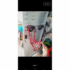 Equitheme Licols Et Longes>Licol + longe poney