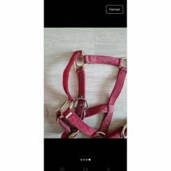 Equitheme Licols Et Longes>Licol + longe poney