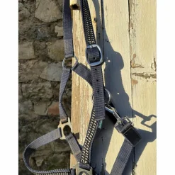 Norton Licols Et Longes><noscript><img width=
