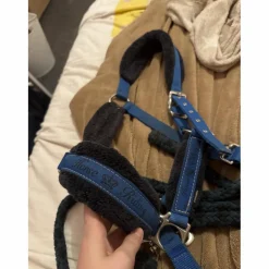 Decathlon Licols Et Longes>Licol avec longue