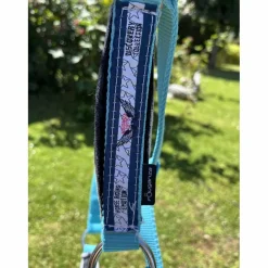 licol bleu*Fouganza Best