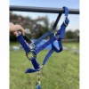 - Marque inconnue - Licols Et Longes>Licol bleu