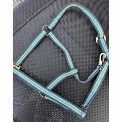 licol cheval*- Marque inconnue - Discount