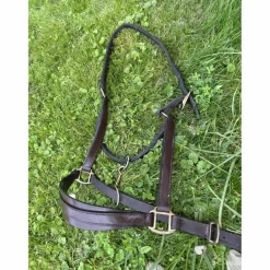 licol cuir*- Marque inconnue - Discount