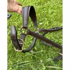 licol cuir*- Marque inconnue - Discount