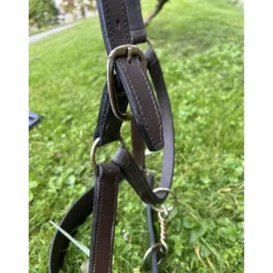 licol cuir*- Marque inconnue - Discount