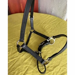 - Marque inconnue - Licols Et Longes>Licol cuir