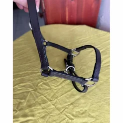 Licol cuir foal/poulain*- Marque inconnue - Sale