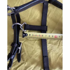 Licol cuir foal/poulain*- Marque inconnue - Sale
