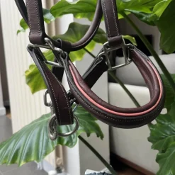 Licol d’écurie*CWD Clearance