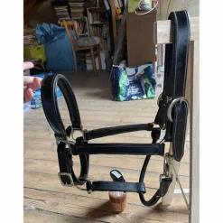 Licol en cuir*- Marque inconnue - Outlet