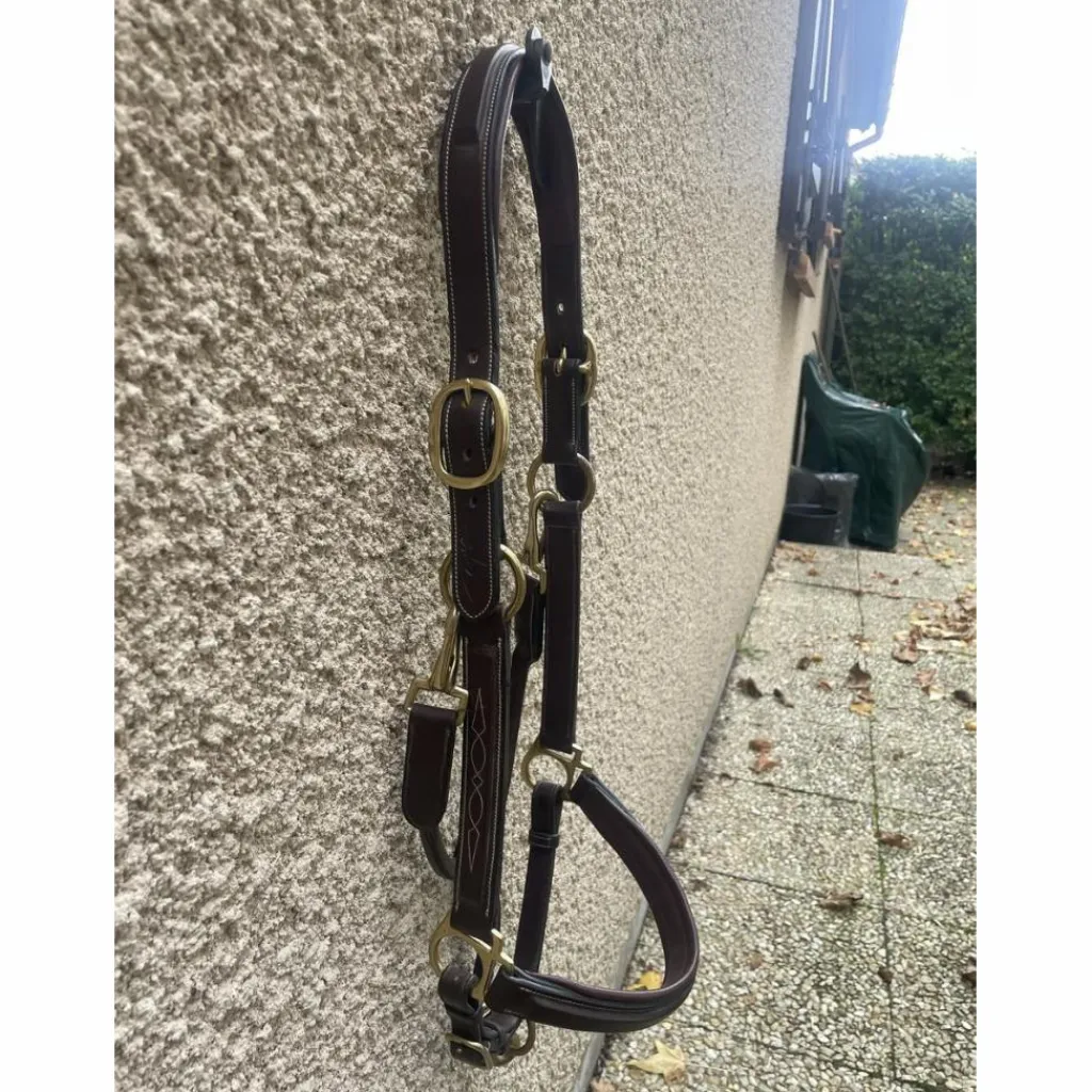 Dy'on Licols Et Longes>Licol en cuir DYON collection