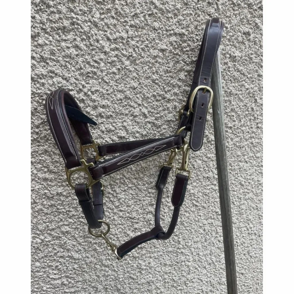 Dy'on Licols Et Longes>Licol en cuir DYON collection