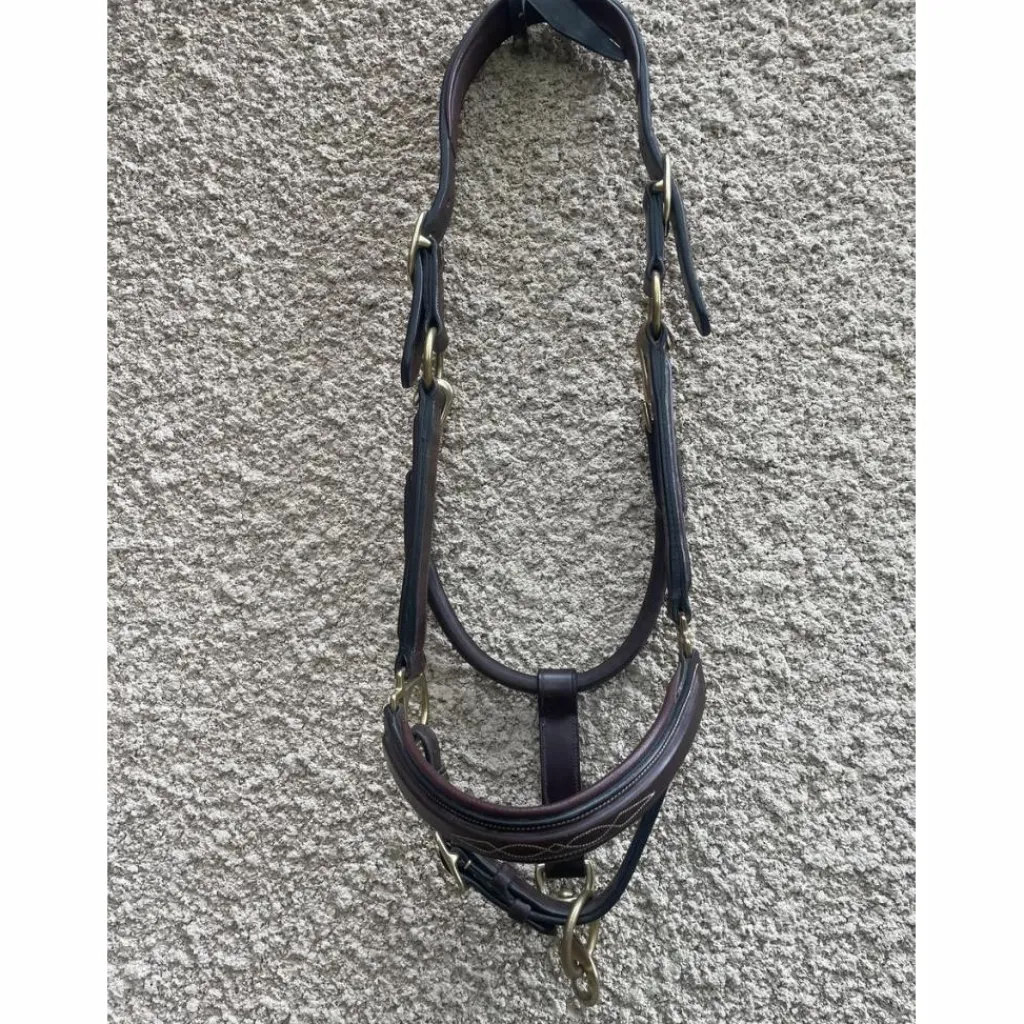 Dy'on Licols Et Longes>Licol en cuir DYON collection