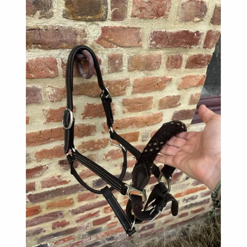 Licol en cuir et corde*Canter