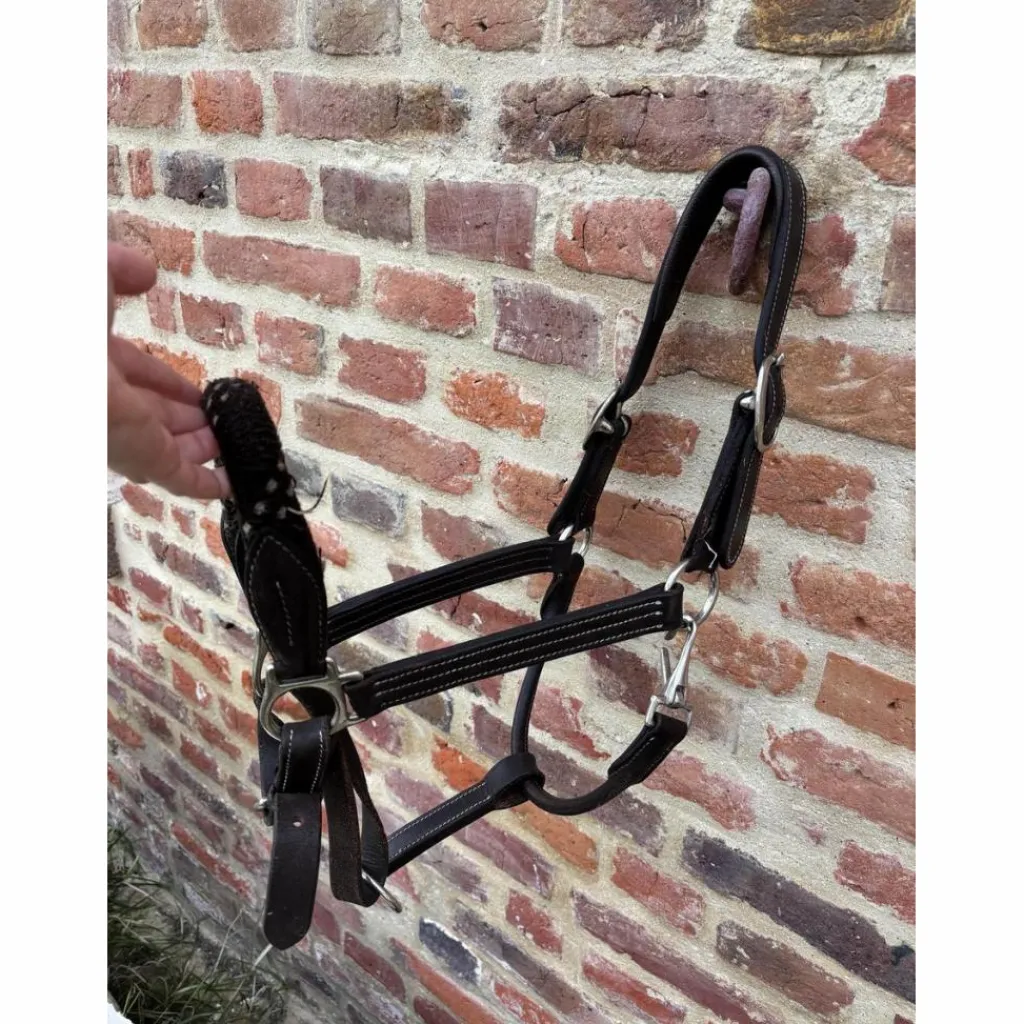 Licol en cuir et corde*Canter