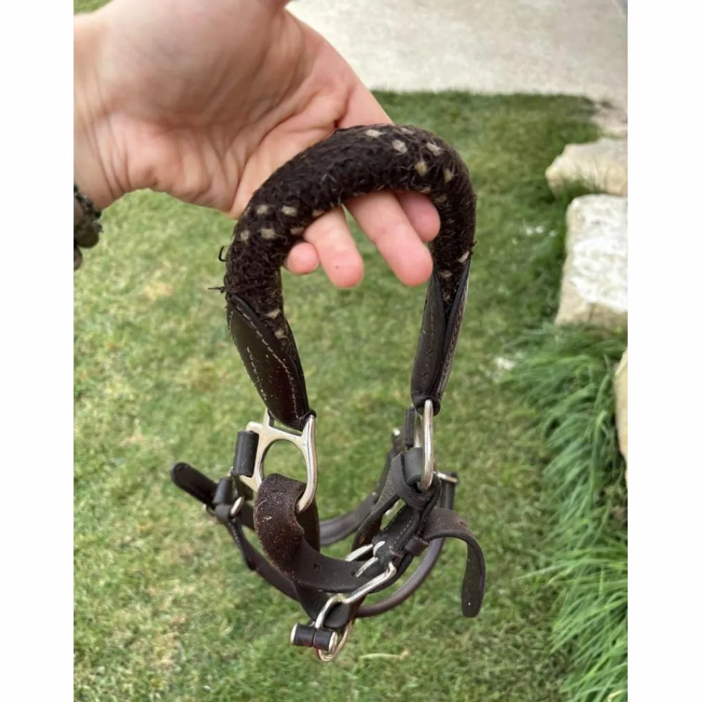 Licol en cuir et corde*Canter