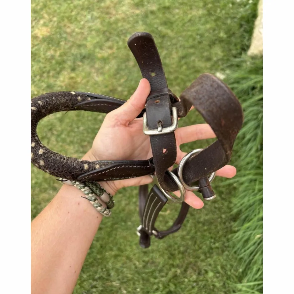 Licol en cuir et corde*Canter