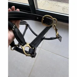 Canter Licols Et Longes>Licol en cuir noir