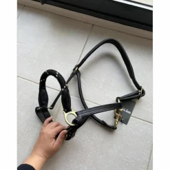 Canter Licols Et Longes>Licol en cuir noir