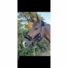 Equestrian Stockholm Licols Et Longes>licol