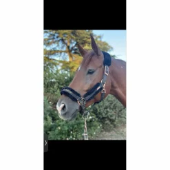 Equestrian Stockholm Licols Et Longes>licol