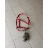 Licol et longe*- Marque inconnue - Sale