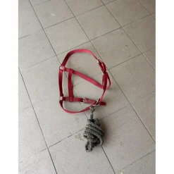 Licol et longe*- Marque inconnue - Sale