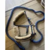 Norton Licols Et Longes>licol et longe bleu avec mouton blanc