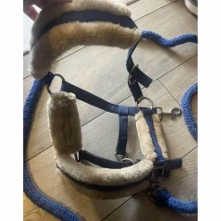 Norton Licols Et Longes>licol et longe bleu avec mouton blanc