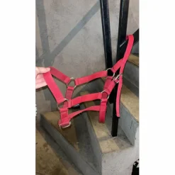 licol et longe rouge*Fouganza Clearance