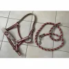 licol et longe taille cheval Happy Valley Polo*HV Polo Sale