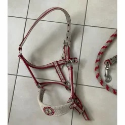 licol et longe taille cheval Happy Valley Polo*HV Polo Sale
