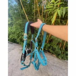 Licol bleu*Fouganza Clearance