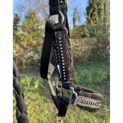 licol fougenza strass noir*Fouganza Online