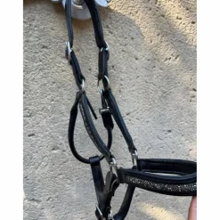 Hekktor Licols Et Longes>licol noir