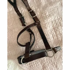 In Horse We Trust Licols Et Longes><noscript><img width=