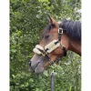 Kentucky Licols Et Longes>Licol