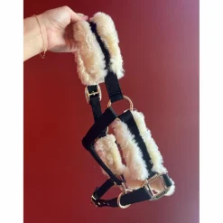 Licol taille cob*Kentucky Discount