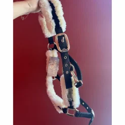 Licol taille cob*Kentucky Discount