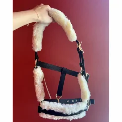 Licol taille cob*Kentucky Discount