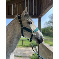 Licol Velvet Émeraude taille cob*Kentucky