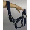 Licol e*Lamicell Sale
