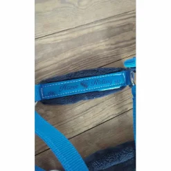 licol électric blue 🦋*Fouganza