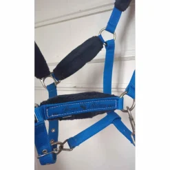 licol électric blue 🦋*Fouganza