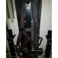 - Marque inconnue - Licols Et Longes>Licol marron